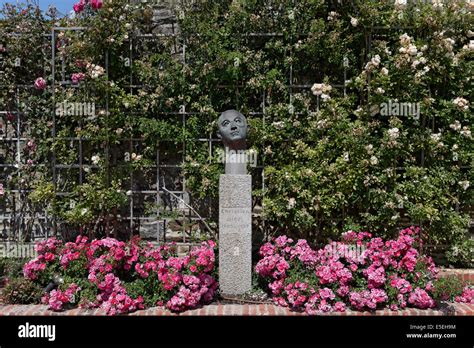 dior rose garden|christian Dior garden.